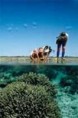 /album/photogallery/coral-and-people-jpg/